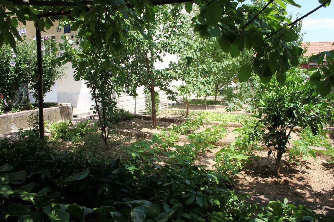 Marjan Hill Apartment - Close To Center & Garage Spalato Esterno foto